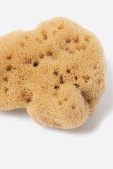Arkive-luonnon-merisieni-valkaisematon-natural-sea-sponge-unbleached