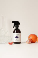 astianpesuaine-SEES-arkive-atelier